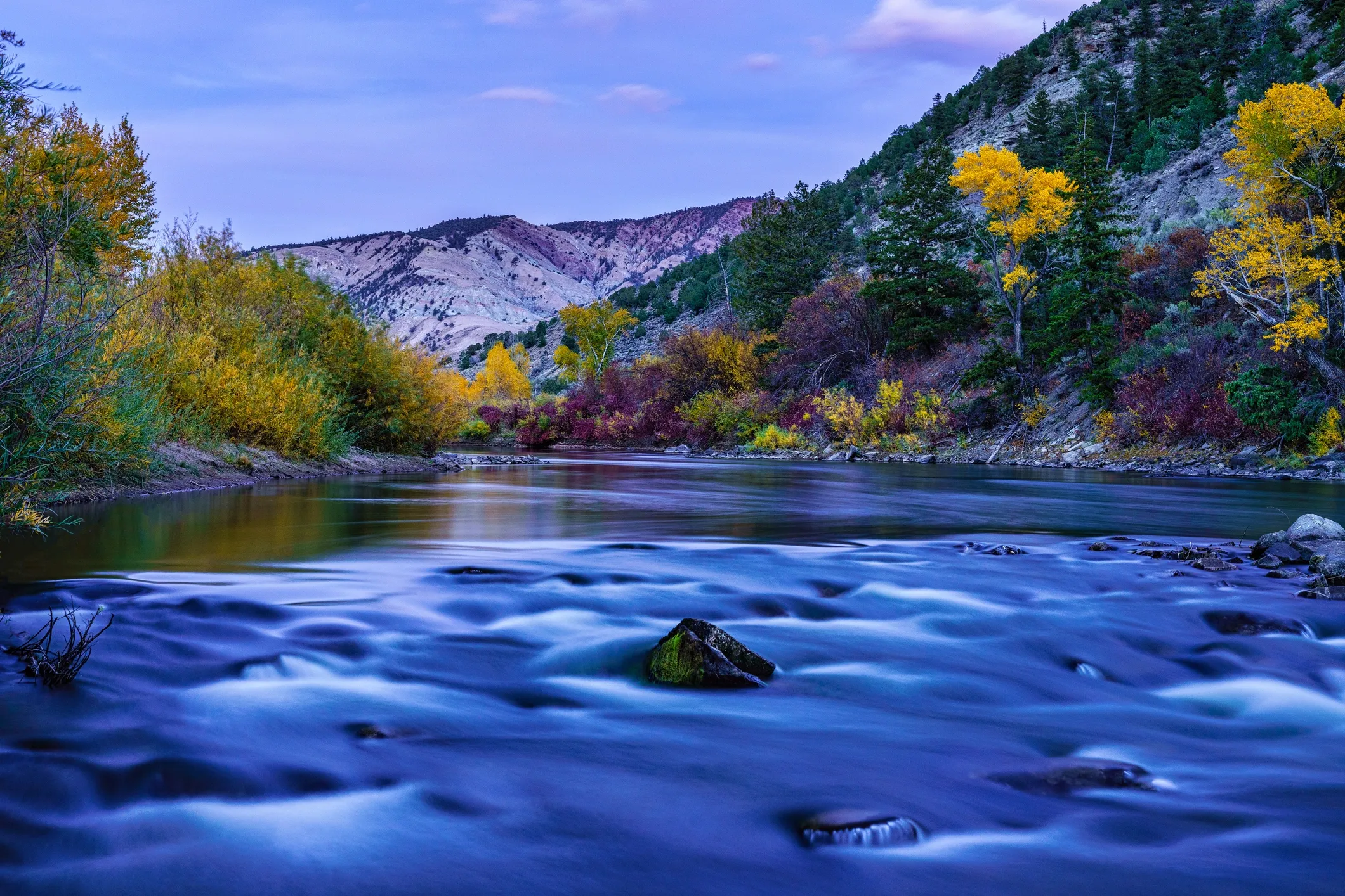 Fly Fishing