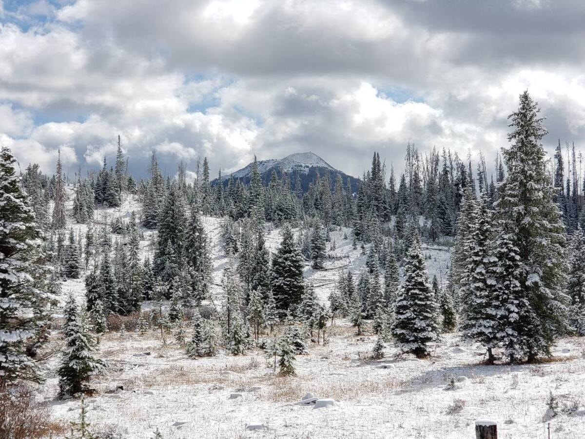 View from Kitchen Window — Hahn's Peak