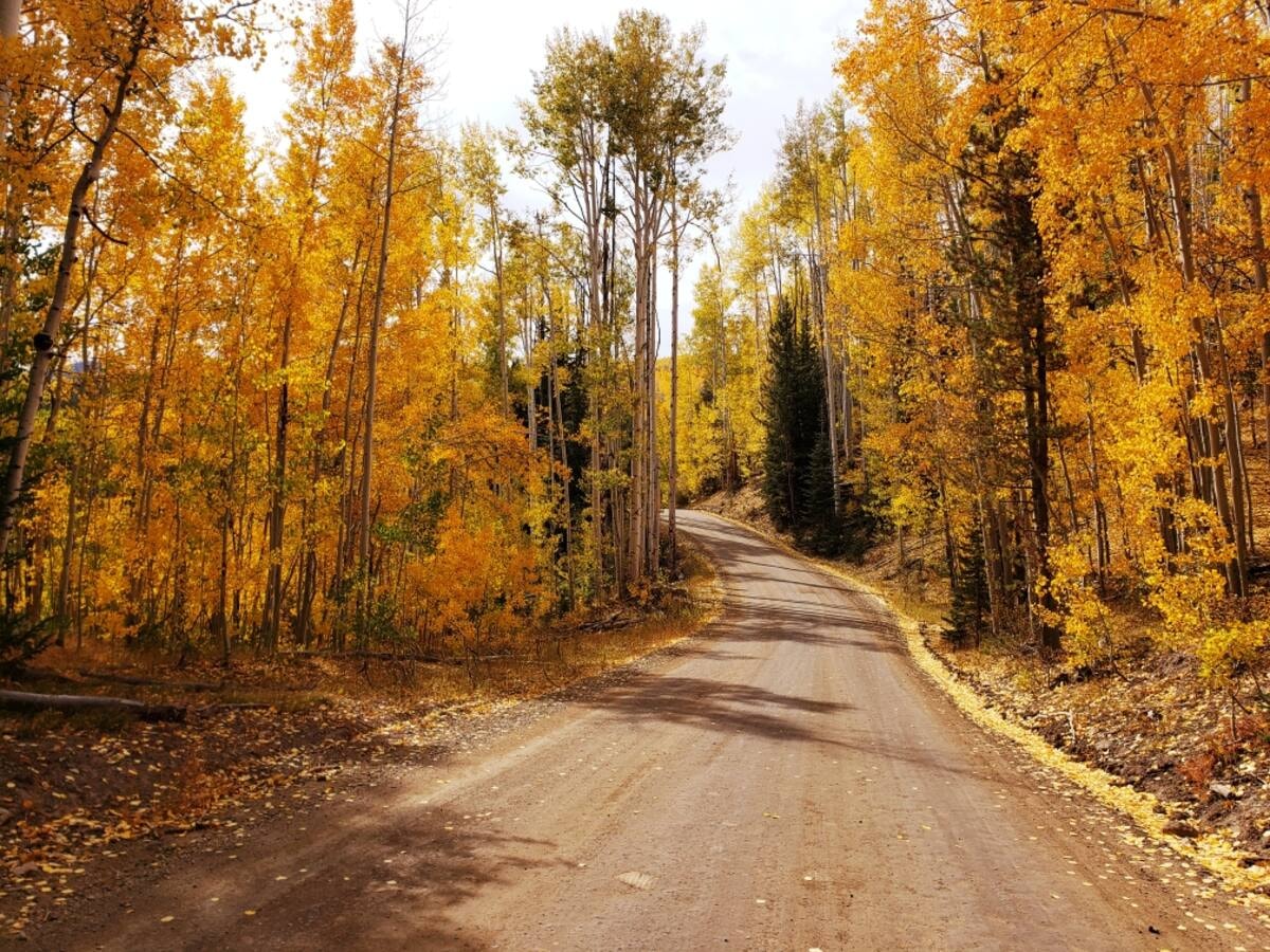 Fall on Property