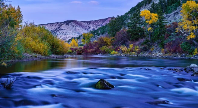 Fly Fishing